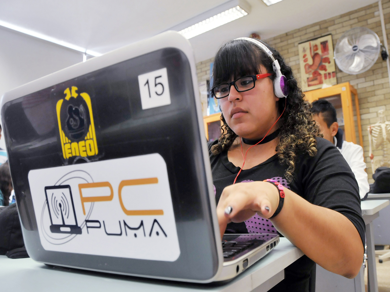 Programa PC PUMA - UNAM